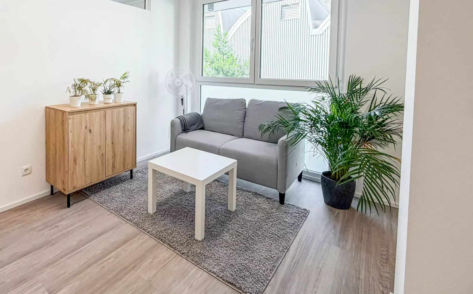 Lounge mit Sofa und Pflanzen